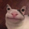 Nakta