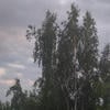 Ловушка для имени