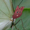 Недофанатик