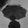 Fellow_rain