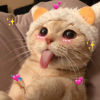 shiza_shizoida