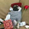 Анастасия Редос