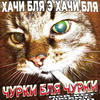 Финчик