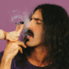 Mr Stephano