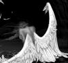 Falled Angel21