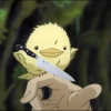 RikkiNikki
