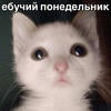 Lilian. What you like.