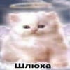 Pioneering Sacha