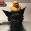 вэй вусянь