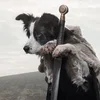 Ворчу Рычу