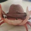 ТиМох