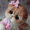 LiHan