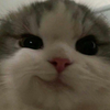 tiiiky