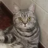 jijabeba