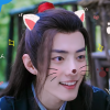 nimblecat