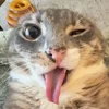 офисный работник
