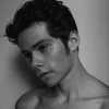 Dylmas_lover
