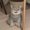 соня что-то пишет