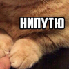 Рэй Пряч