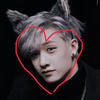 stray kids fan