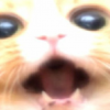 woopcha