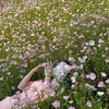 romantism