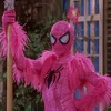 cool_spider