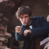 ohmrscamander
