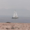 LTroT