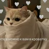 Чан У солнышко