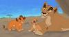 simba007