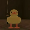 duck me