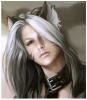 Devils Fox_aka_Vergil Sempai
