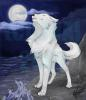fullmetalwolf