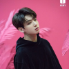 jk_LS_bunny