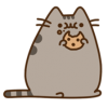 Risa-s