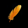 Yellow feather