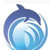 dolphincargo