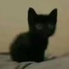 MeowMeowjhj