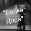 Белка Дора