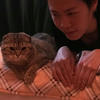 mikami_