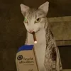 Анчутка Рейн