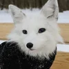 Чай и звёзды