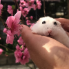 Анастасия Веннер