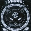 Black Cat 246