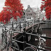 A.msterdam.