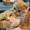 EVELmoRE_