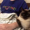кот_тапок