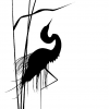 DeepAndDark