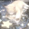 meow_kitty3497